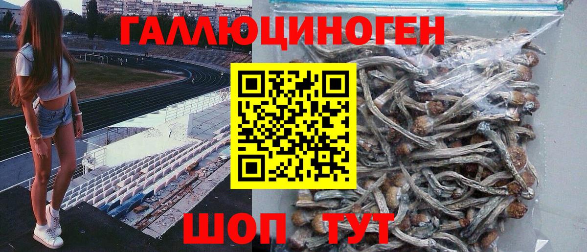 Псилоцибиновые грибы мухоморы Коломна