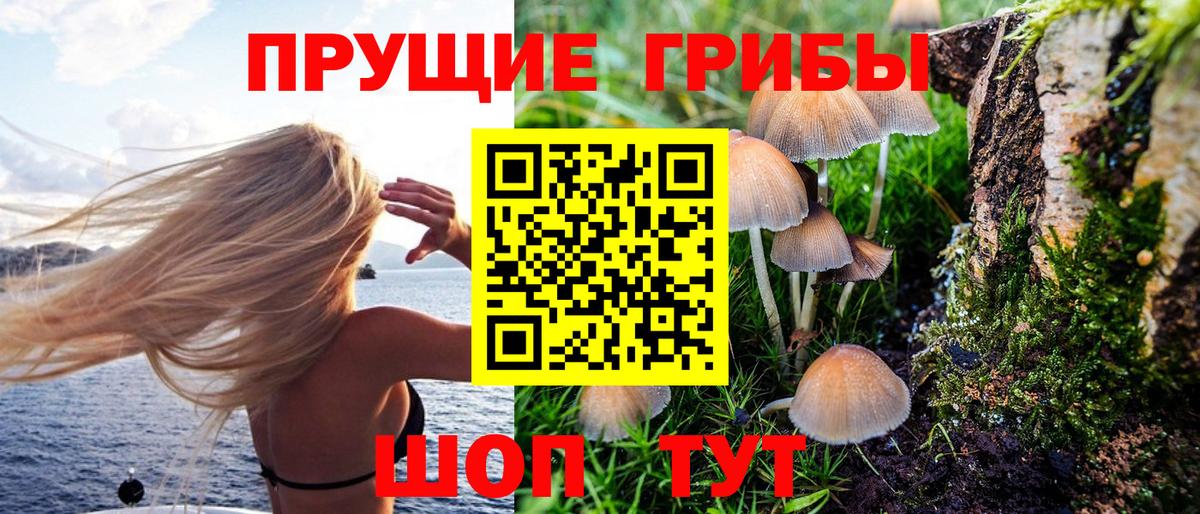 Псилоцибиновые грибы Magic Shrooms  Вход с VPN  Коломна  Псилоцибиновые грибы Psilocybine cubensis 